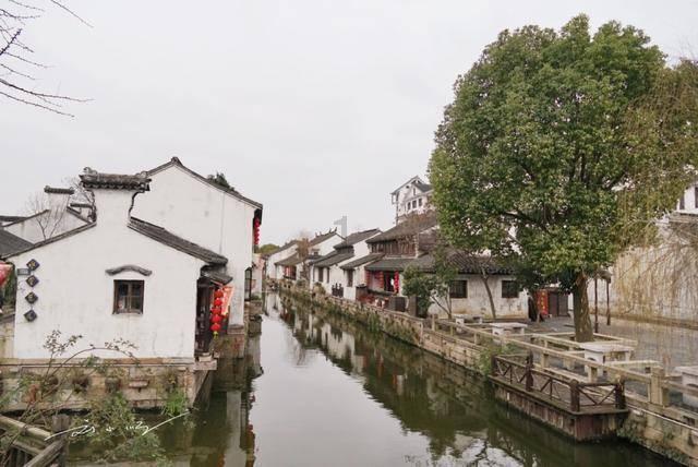 市场监管总局:拟将婴幼儿配方液态奶纳入注册管理